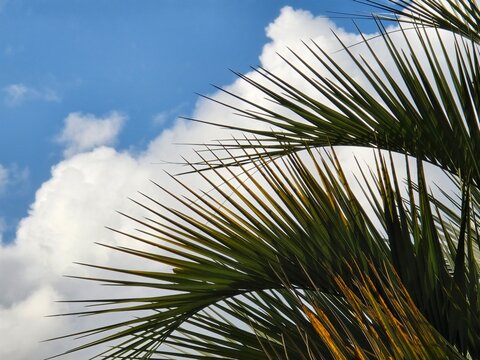 C&eacute;u e Nuvens