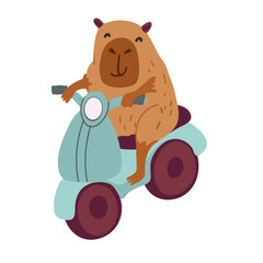 Vector funny capybara in flat design. A cute  capybara happily riding a scooter, delivering a package. South American adorable animal. Hand drawn Vector illustration.