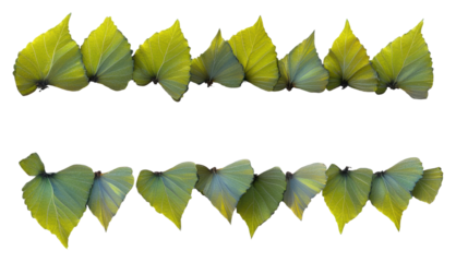 Artistic pattern of vibrant green leaves