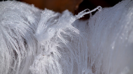 frozen ice crystals on the ground in winter, macro of ice hair, ce wool, frost beard, close up  © Brinja