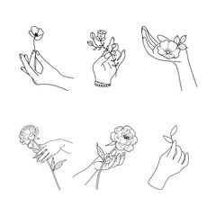 Elegant Line Art Hands with Flowers Minimalist Illustration.
