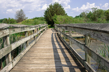 old wooden bridge