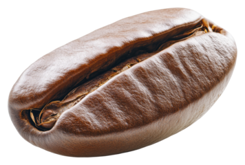 Coffee bean isolated on transparent background
