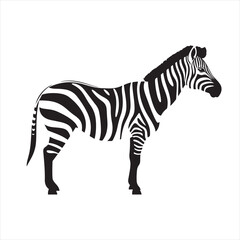 Obraz premium Simple Flat Zebra Illustration on White Background