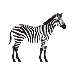 Obraz premium Minimalist Zebra Side View Illustration with Black Outline