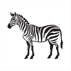 Obraz premium Minimalist Zebra Side View Illustration with Black Outline