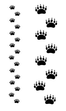 Polar bear tracks. Vector black icons isolated on white background.