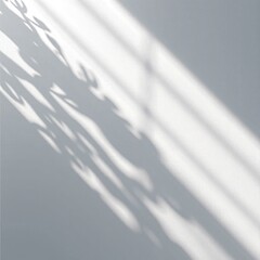Obraz premium Realistic Shadow Effect Design Light Gradient Abstract Depth Contrast Creative 3D Visuals Texture