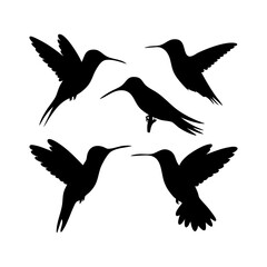 Hummingbird Silhouette Set – Dynamic Birds in Flight