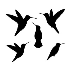 Hummingbird Silhouette Set – Dynamic Birds in Flight