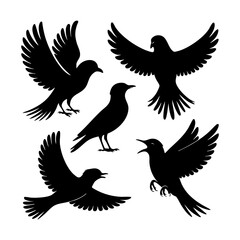 Bird Silhouette Set – Birds in Flight and Perched