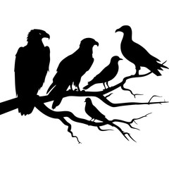 Birds Perched on a Branch – Silhouette of Various Bird Species