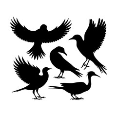 Diverse Bird Silhouettes – Various Birds in Flight and Perched