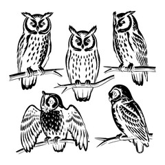 Hand-Drawn Owl Silhouette Set – Detailed Nocturnal Birds on Branches