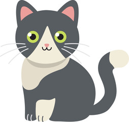 A cute gray and white cat is sitting. Pretty pet isolated on a white background