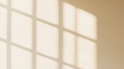 Minimalist elegance and soft light play of afternoon sunshine on wall
