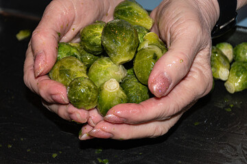 The hands of a Chef, ok my wife, as she prepares Brussels sprouts with oil and seasonings.  Cooking...