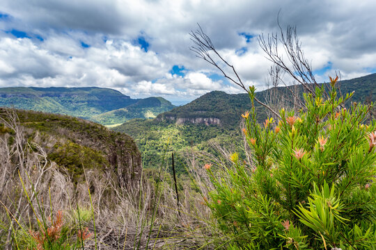 View of Mountains in Binna Burra Section of Lamington National Park, Queensland, Australia.