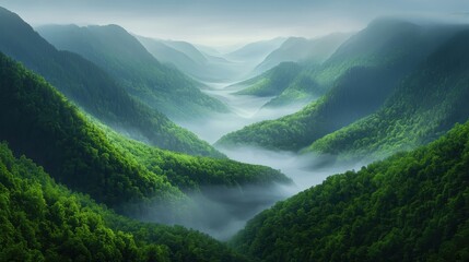 Obraz premium Serene mountain landscape lush valleys nature foggy environment aerial view tranquil beauty