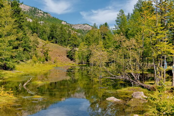 Russia. The Republic of Buryatia. Scenic view of an unnamed swampy river in the Western Sayan Mountains near the mouth of the Tissa River.