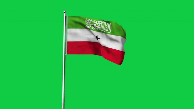 High detailed flag of Somaliland. National Somaliland flag. 3D Render.