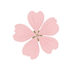 Pink Wildflower with Dainty Petals