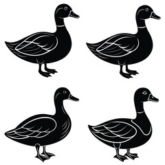 duck silhouette design