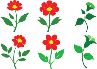 colorful different flowers vector artwork