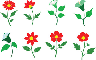 colorful different flowers vector artwork