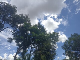 Obraz premium sky and clouds