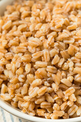 Organic Cooked Italian Farro Rice