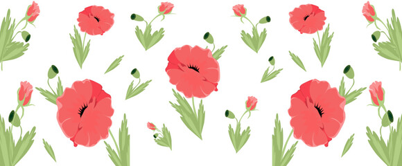 Scarlet poppy flowers with green leaves. Vector illustration.