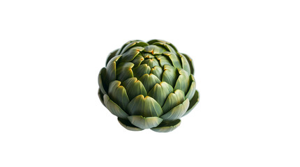 Obraz premium Photo of green artichoke isolated on transparent background.png
