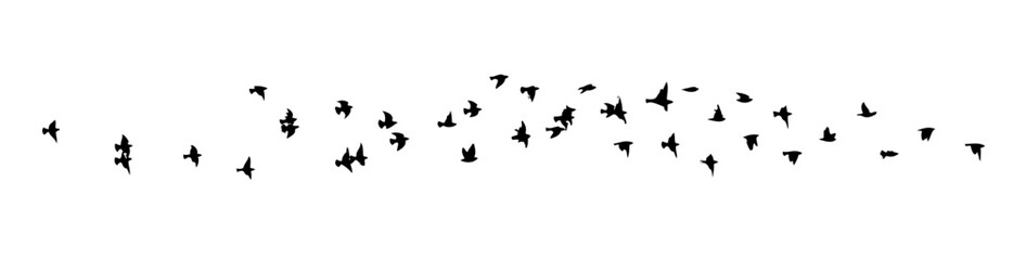 Flying birds silhouette flock. hand drawing. Not AI. Vector illustration