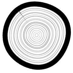 High Contrast Black and White Tree Ring Texture Illustration