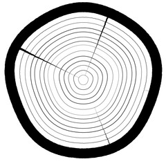 Organic Distressed Wooden Circle Pattern Background Design