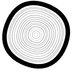 Intricately Scratched Concentric Circle Wood Cross Section Graphic