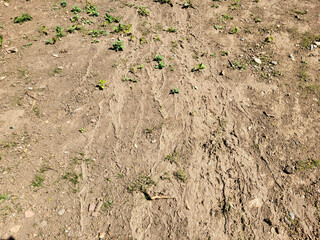 There are dried footprints on the ground and rivulets from the rain.