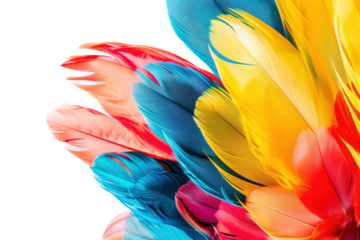 A colorful feathery bird with blue, red, and yellow feathers