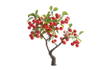 Juicy Red Cherries Growing on a Branch