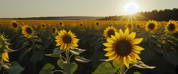 A delightful view of a sunflower field swaying in the breeze its vibrant yellow petals reaching toward the sun in a joyful dance