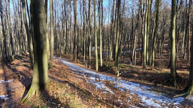 Gory Polskie i droga na Halicz Rozsypaniec w Bieszczadach