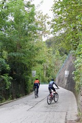 Two Cyclists Riding Uphill on a Scenic Forest Road Surrounded by Lush Greenery