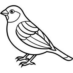 Obraz premium Finch Bird Vector Illustration – Cartoon, Clipart & Line Art on White Background, High-quality finch bird vector illustration, clipart, and line art design on a white background.