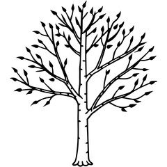 Birch Tree Vector Illustration – Cartoon, Clipart & Line Art Design on White Background, Birch tree vector illustration in cartoon, clipart, and line art style on a white background.