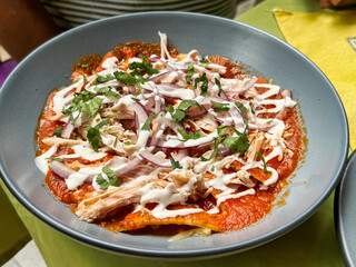 Traditional Yucatecan food - Chilaquiles, a dish with corn chips,shredded meat,vegetables and sour cream in a spicy sauce served in a traditional mayan cuisine restaurant in Valladolid,Yucatan,Mexico 