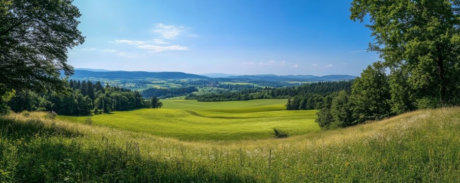 Granes Wald Panorama im Sommer
