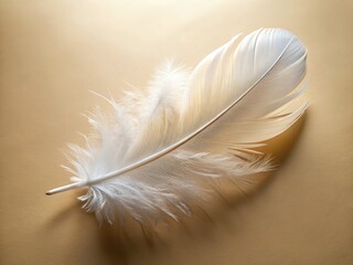 A delicate white feather floats against a soft, light background, elegantly captured in a nature closeup.