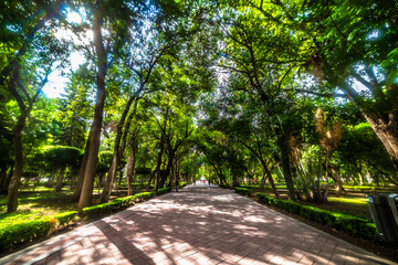 Alameda Hidalgo Park in Queretaro 