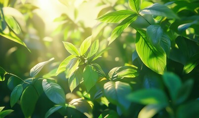 Obraz premium Vibrant green leaves and shadows illuminated by warm sunlight, creating a captivating jungle vibe